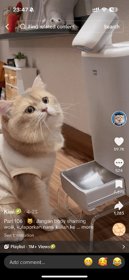 HHOLOVE TikTok creator content